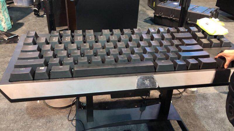 02lkdafug3901.jpg