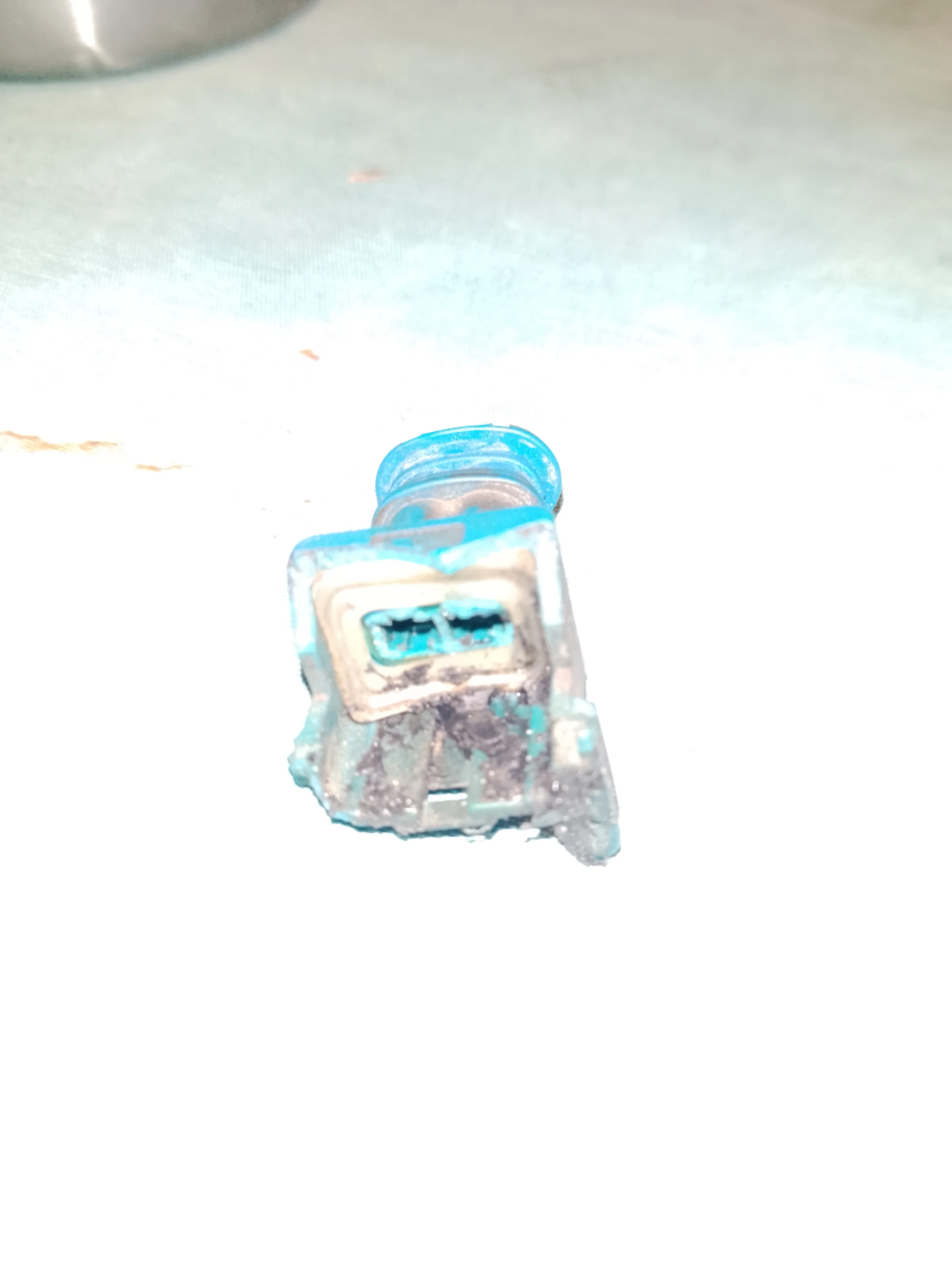 1000006764.webp