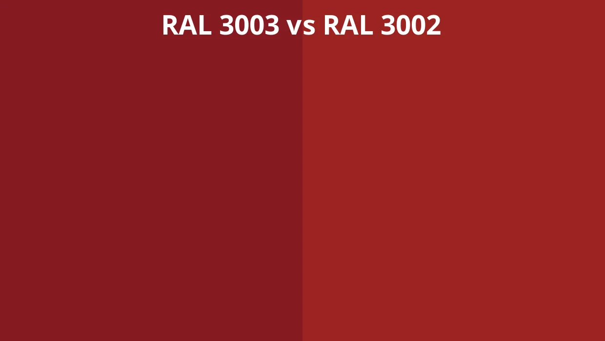 1000022076.webp