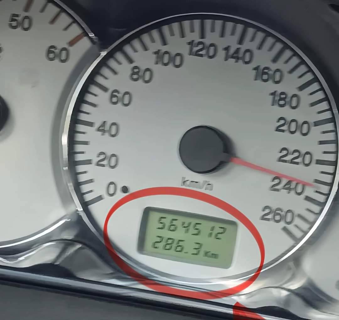 1000024573.jpg