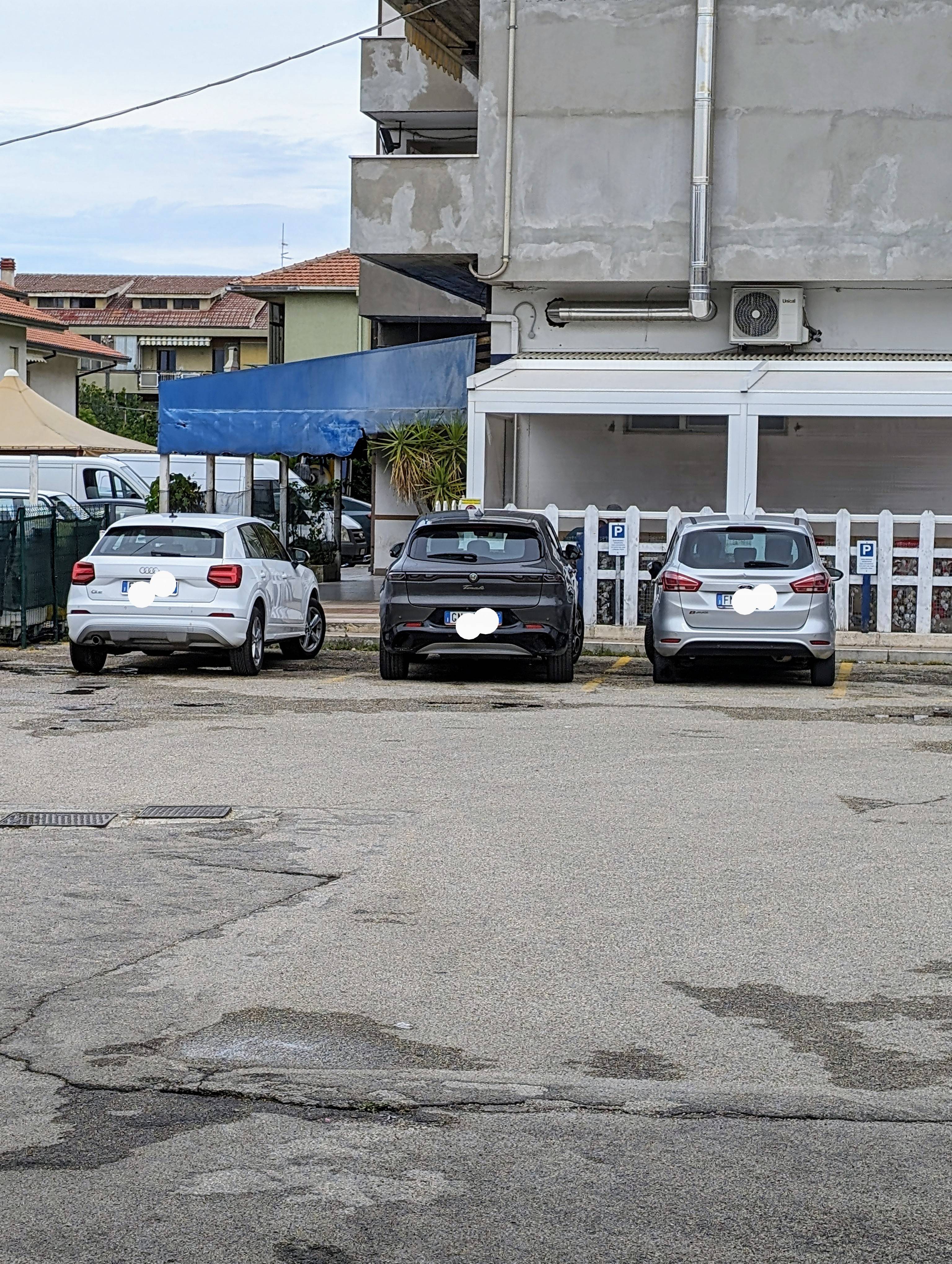 1000028481.jpg