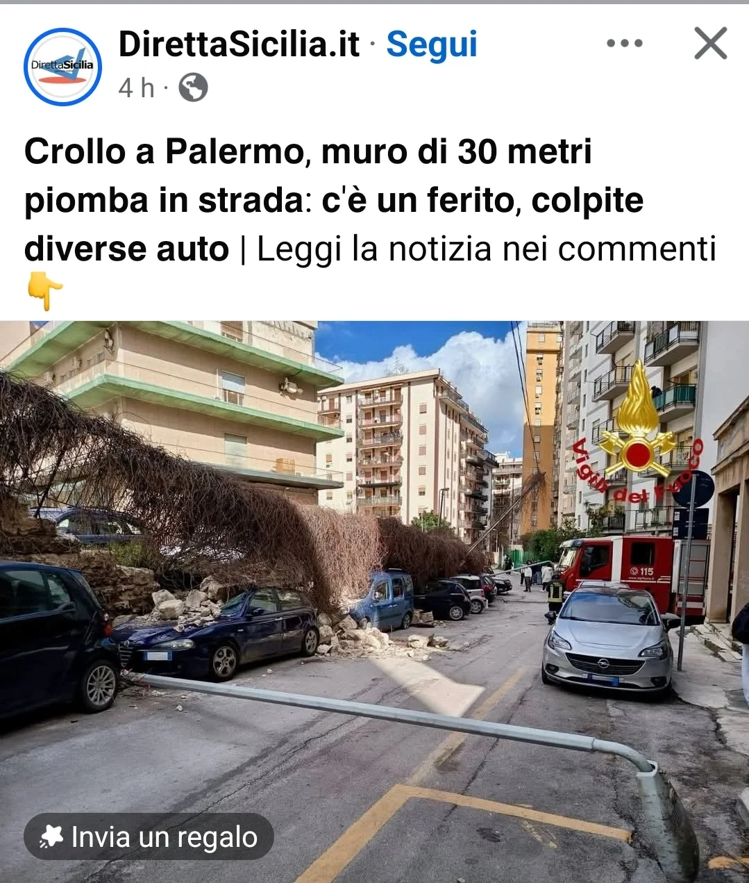 1000061679.webp