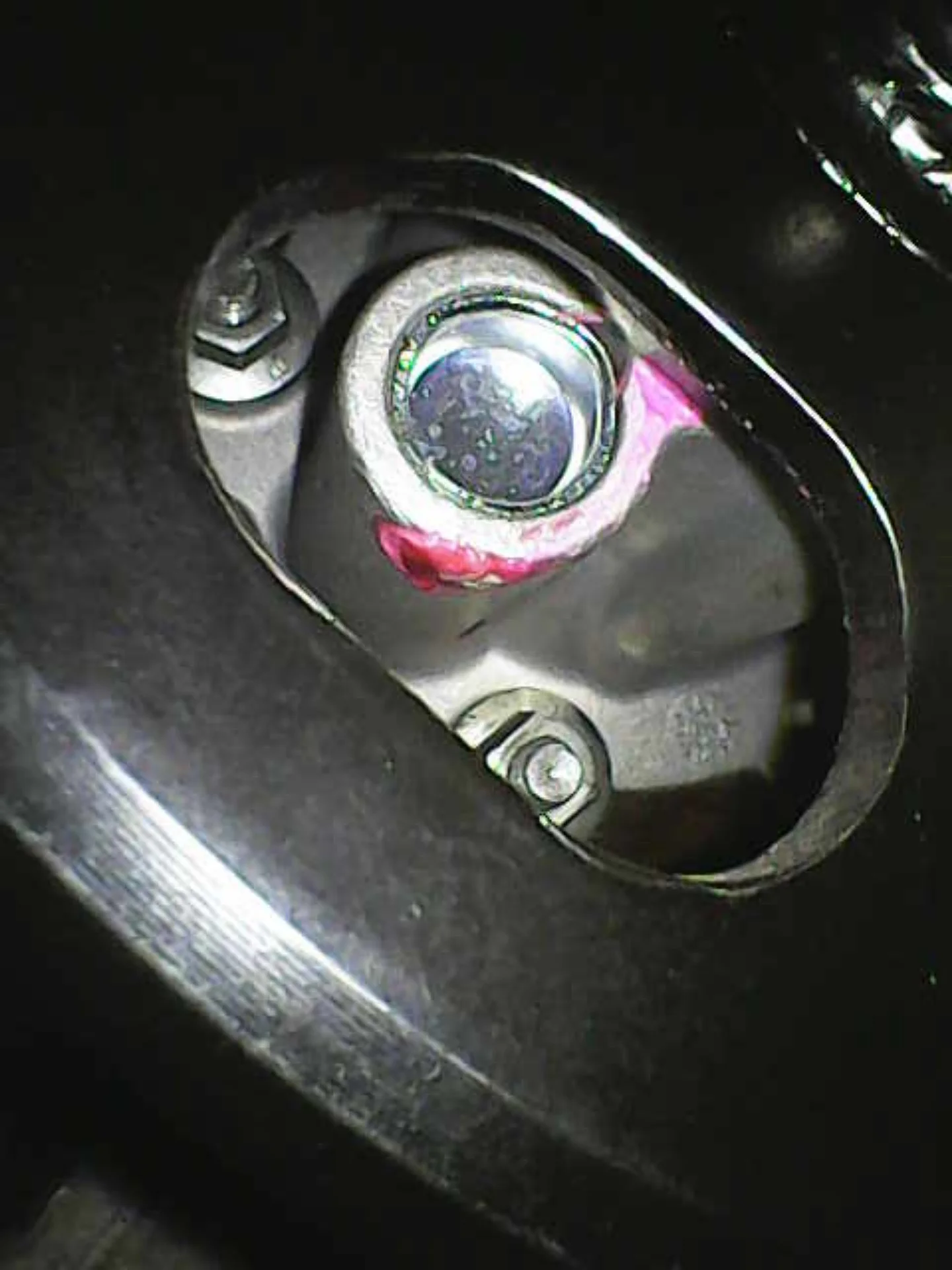 1000063086.webp