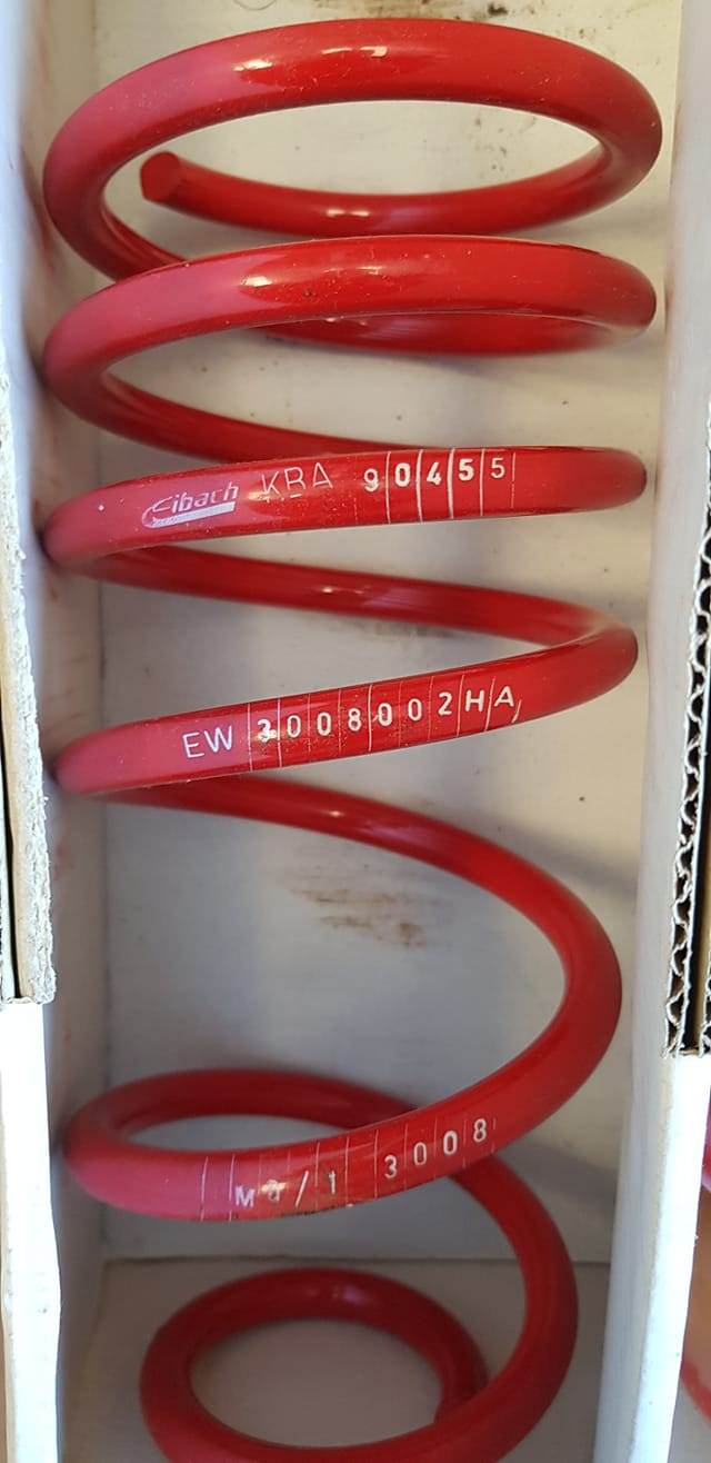 117035026_10220281662065375_6998940806105401727_o.jpg