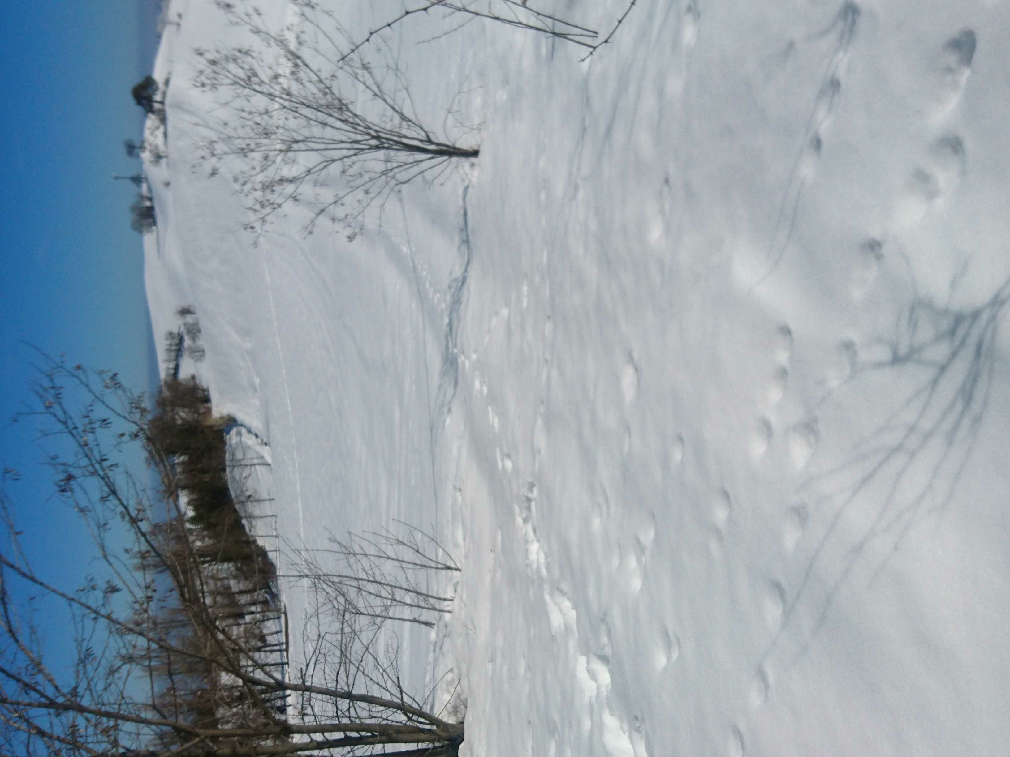 1520504418996.jpg
