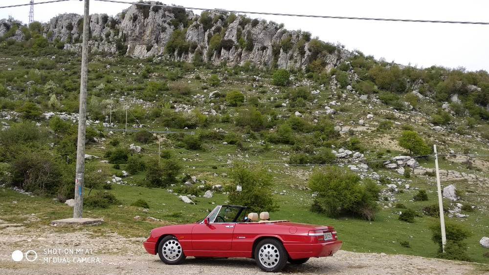 18901283.jpeg 18901283.jpeg