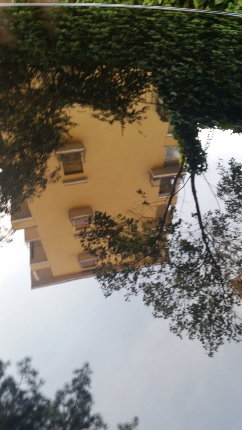 20170405_165240.jpg