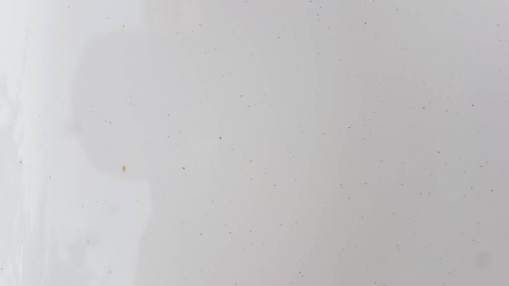 20170501_192938.jpg