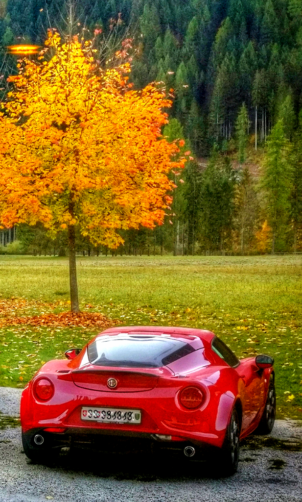 20171020_130204.png