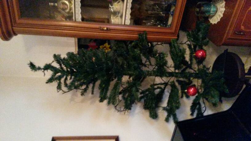 20171202_153536.jpg