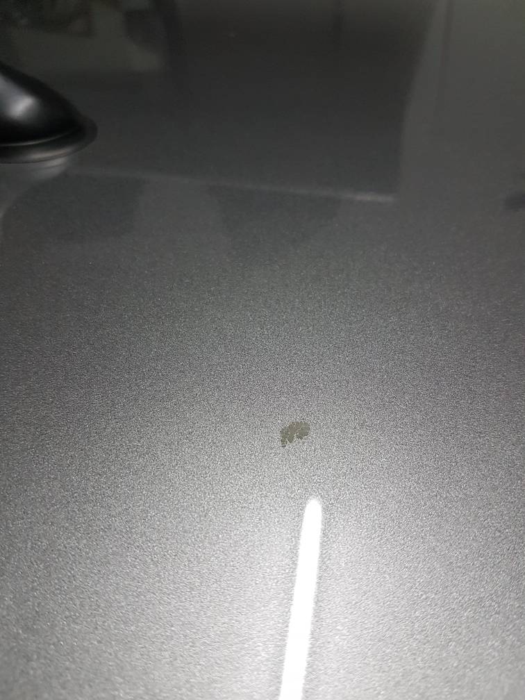 20180105_115504.jpg
