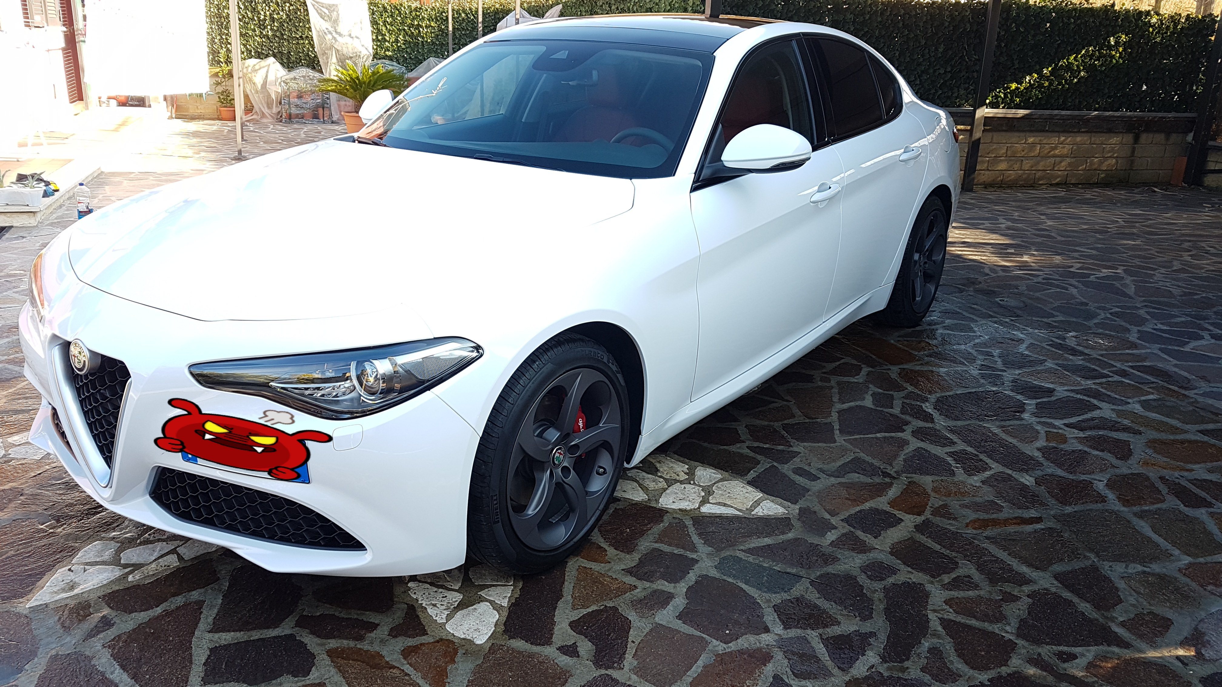 Alfa Romeo Giulia 2 2 Mjet 180cv Mt6 Super Bianco