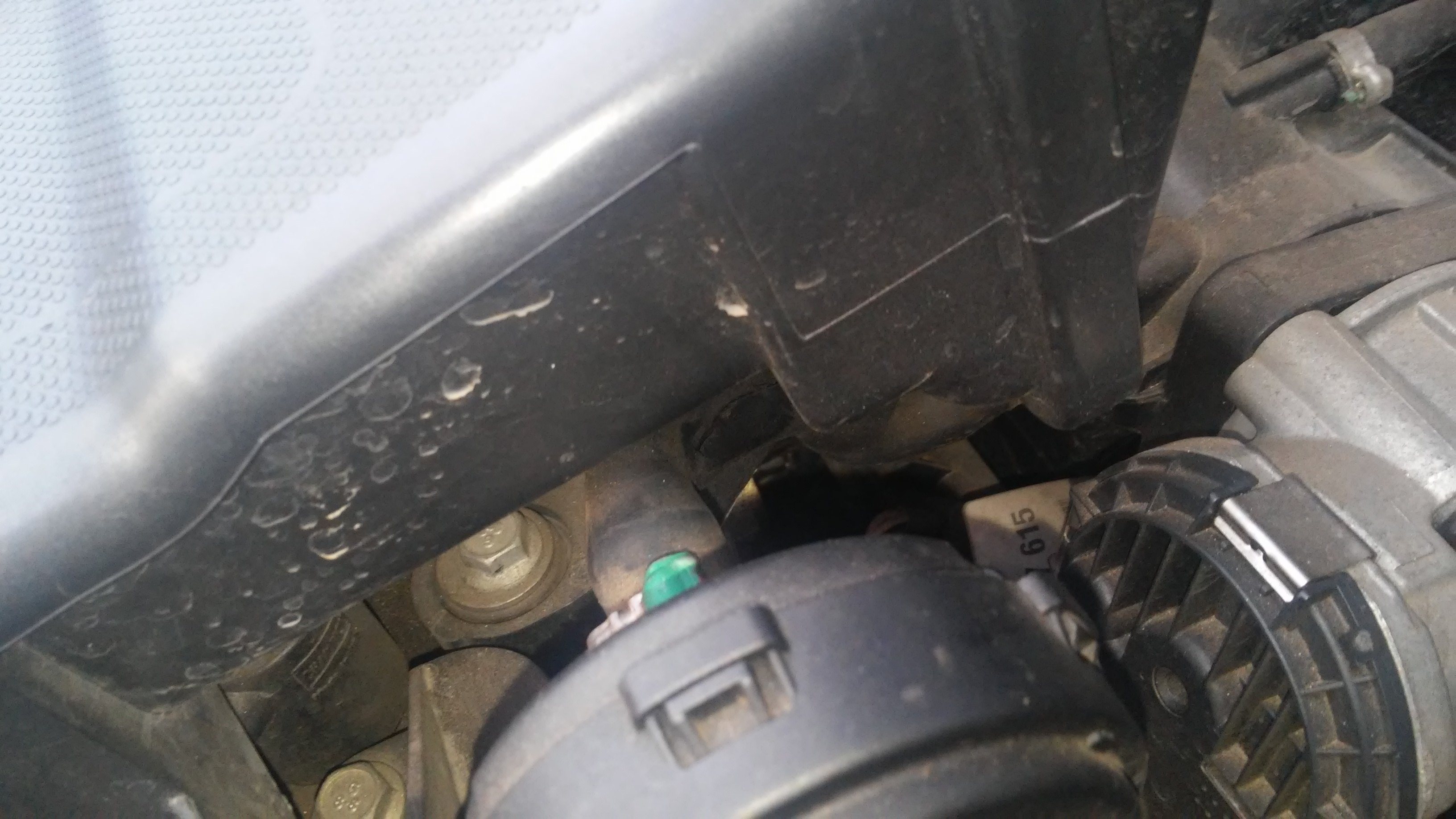 20180208_164516.jpg