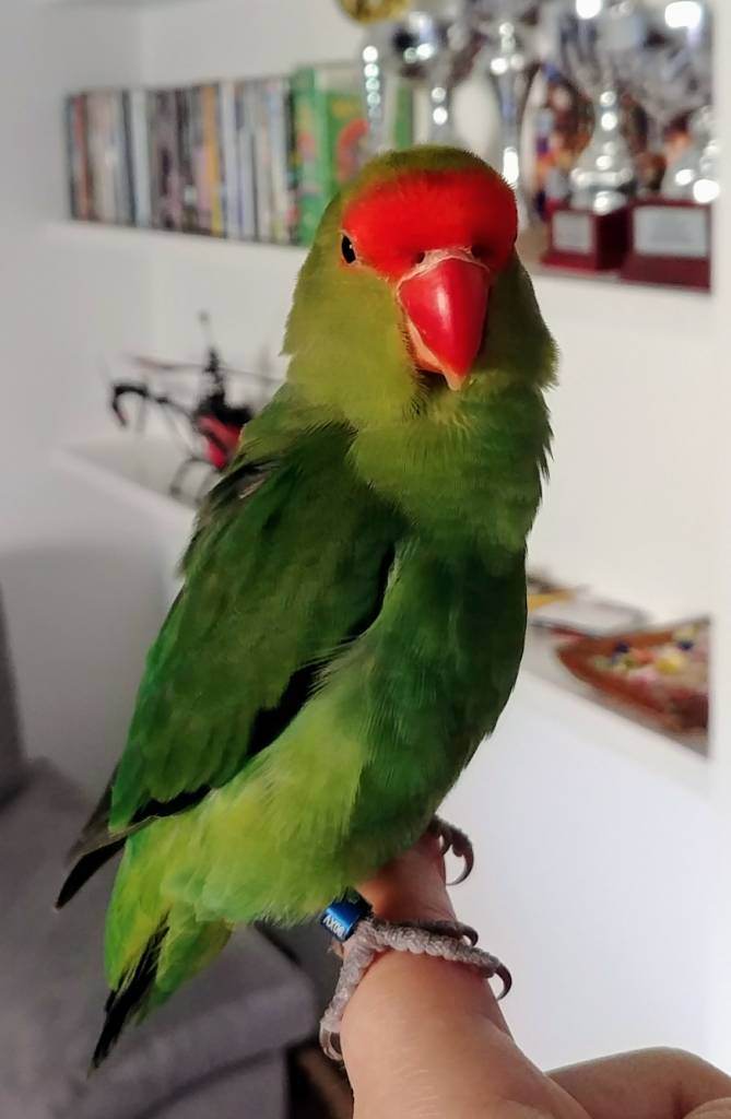 20180425_143350.jpg