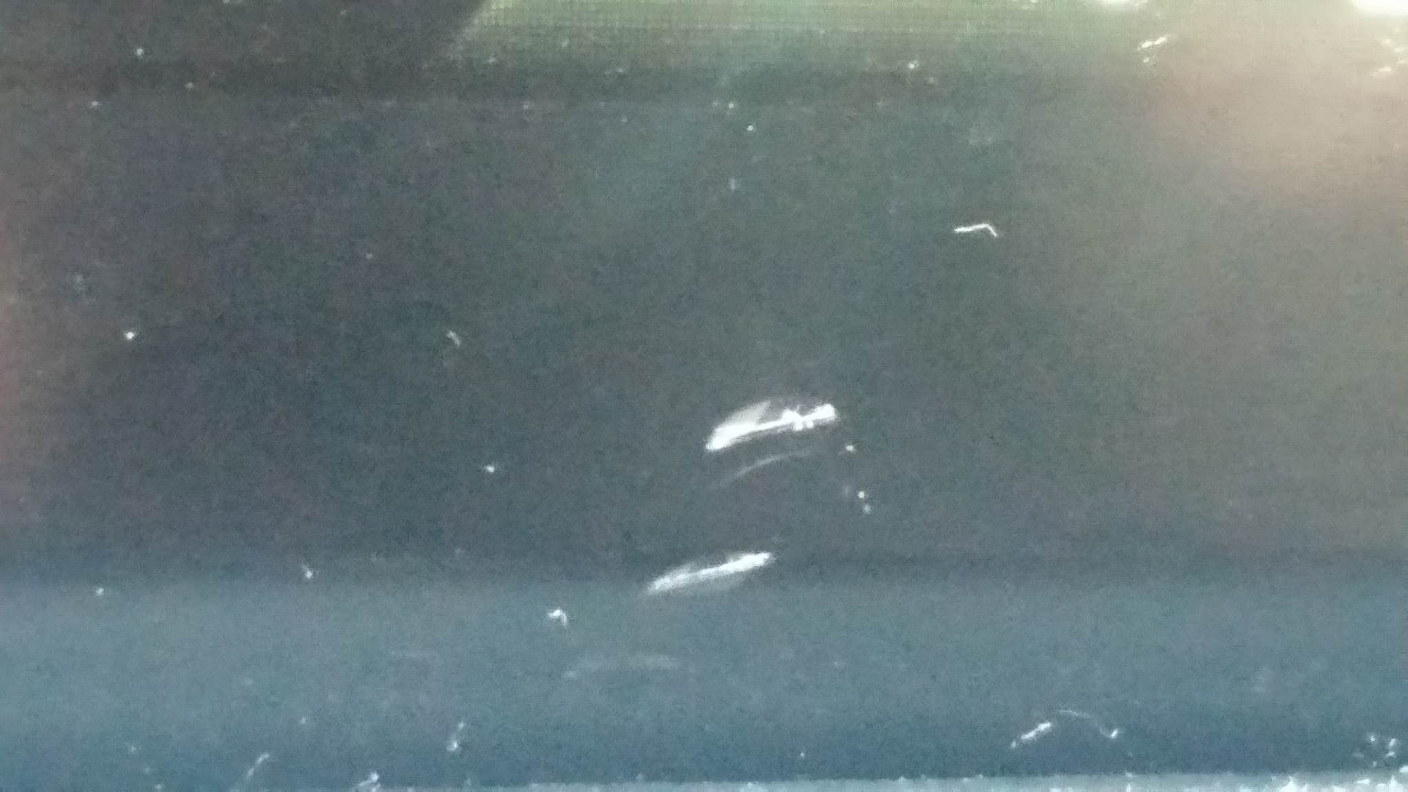 20180515_185417.jpg