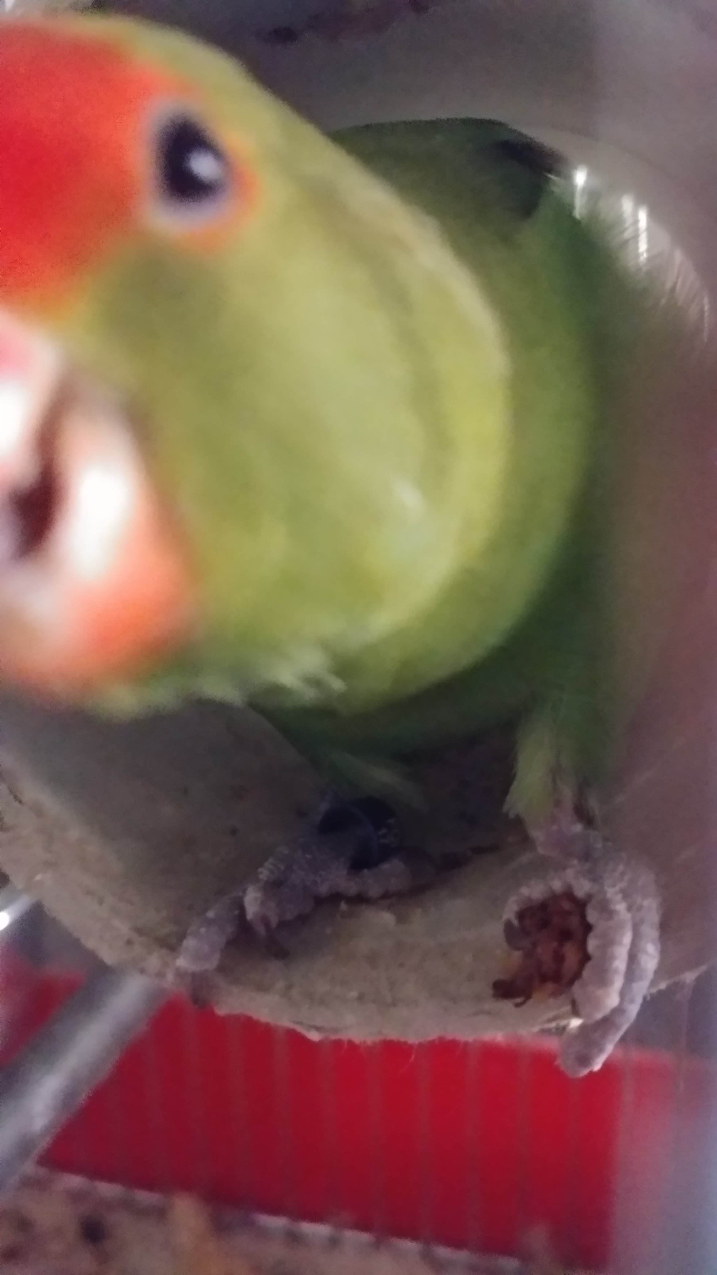 20180619_190817.jpg
