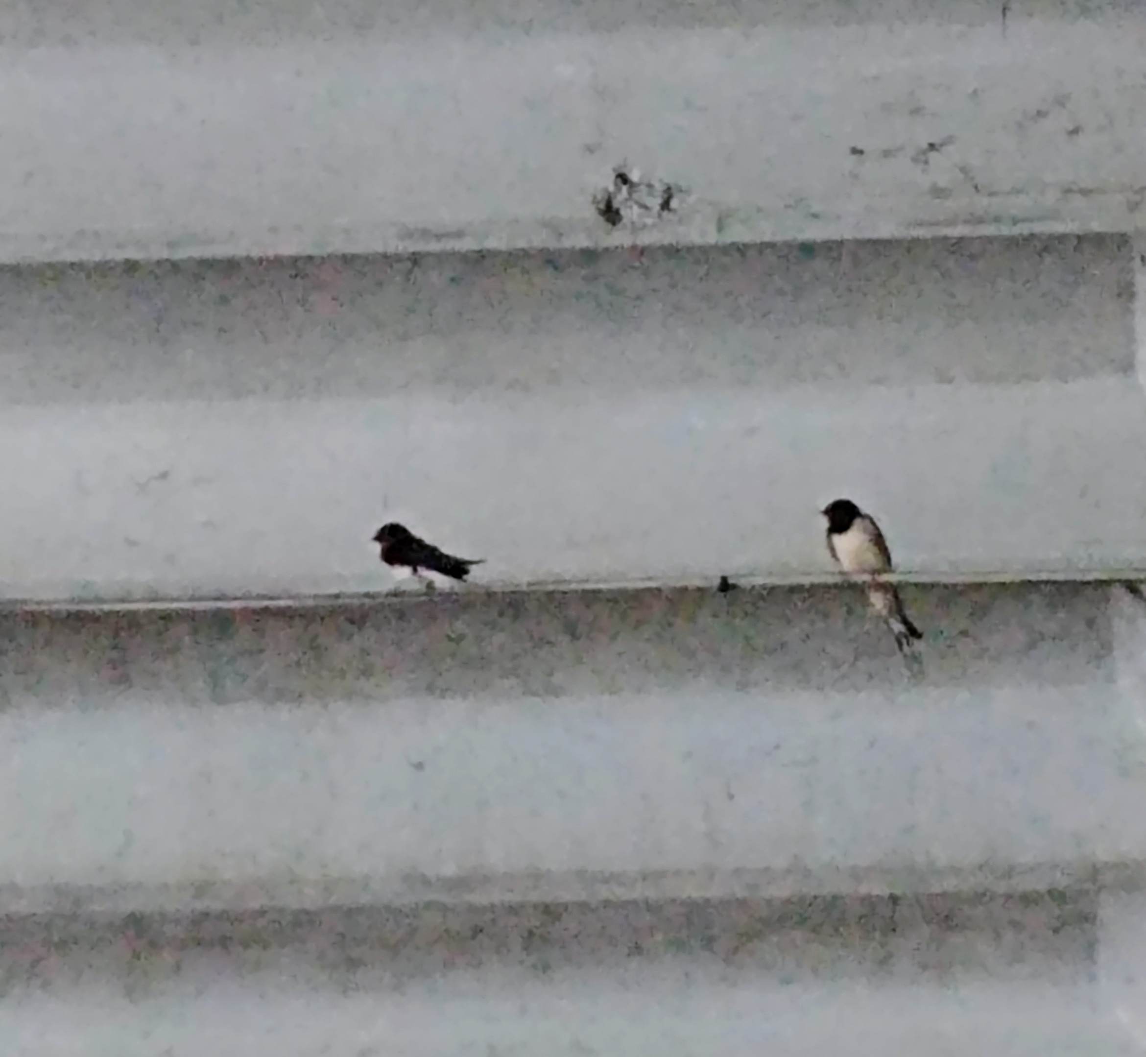 20180620_140629.jpg