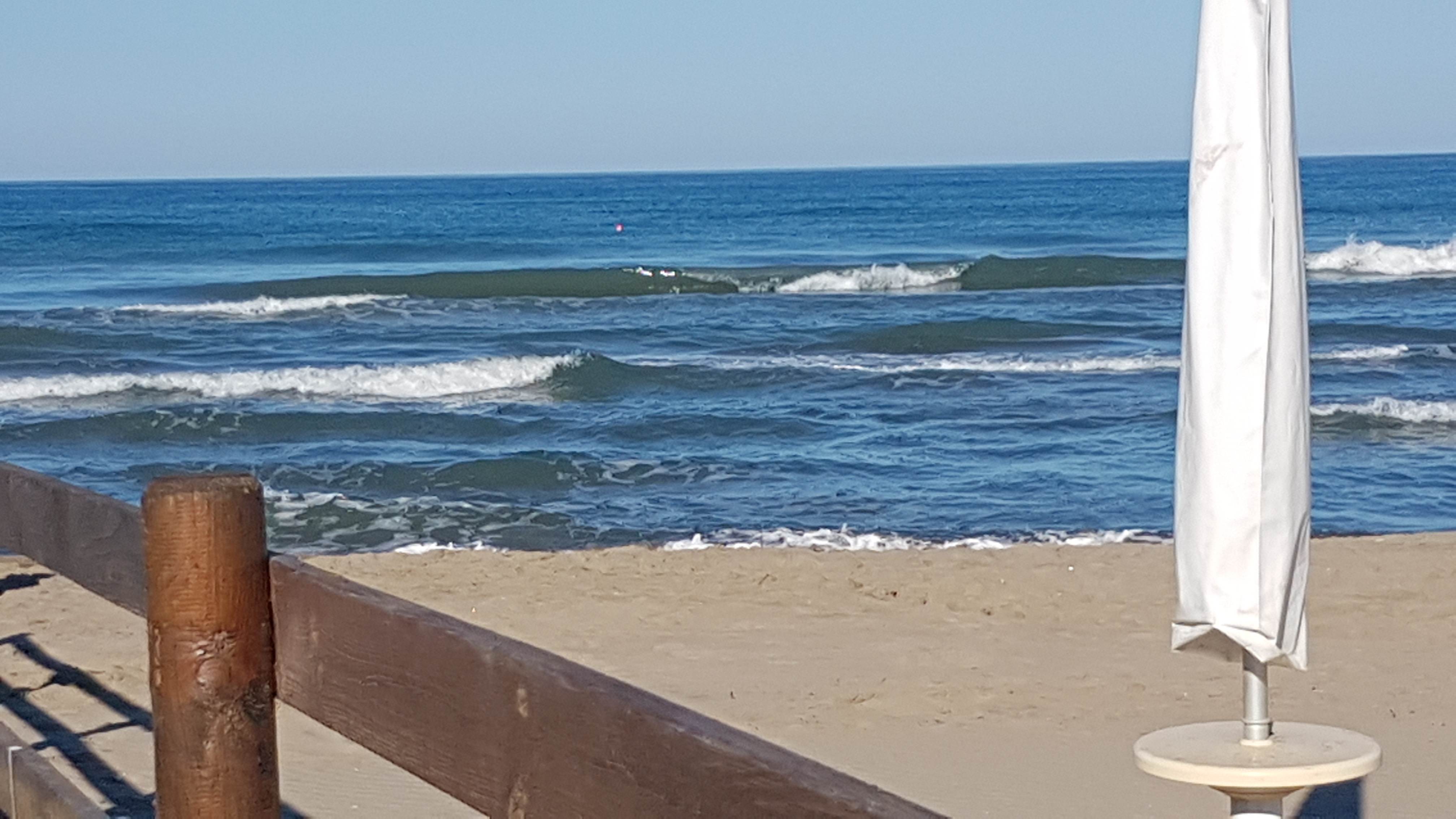 20180708_080321.jpg