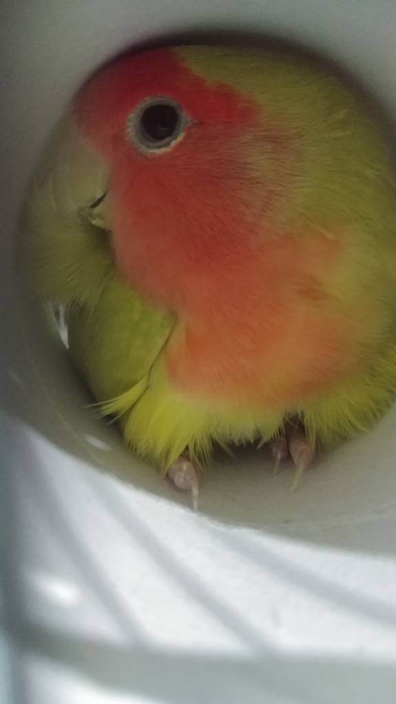 20180723_001338.jpeg