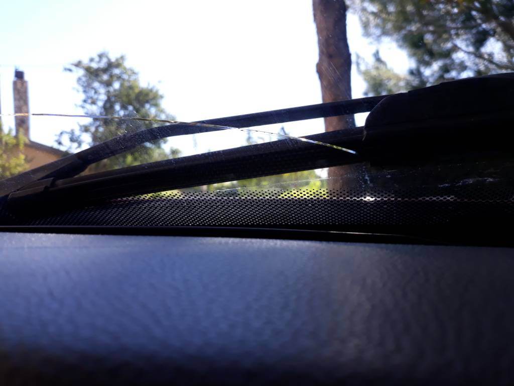 20181026_102916.jpeg