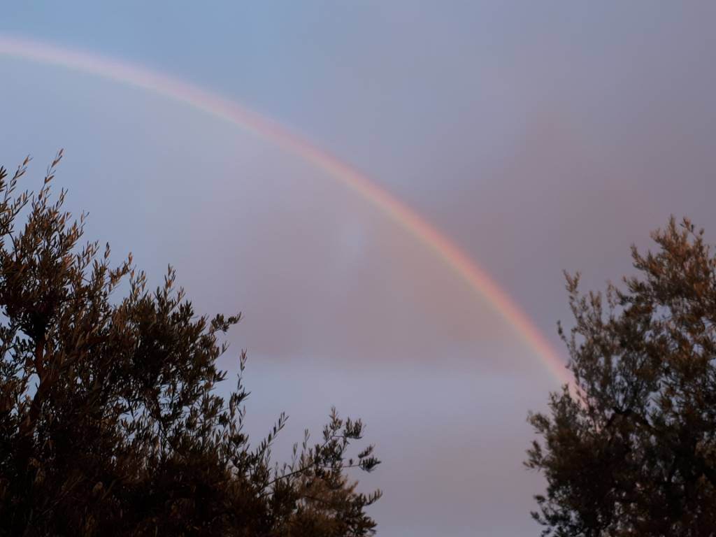 20181126_065907.jpeg