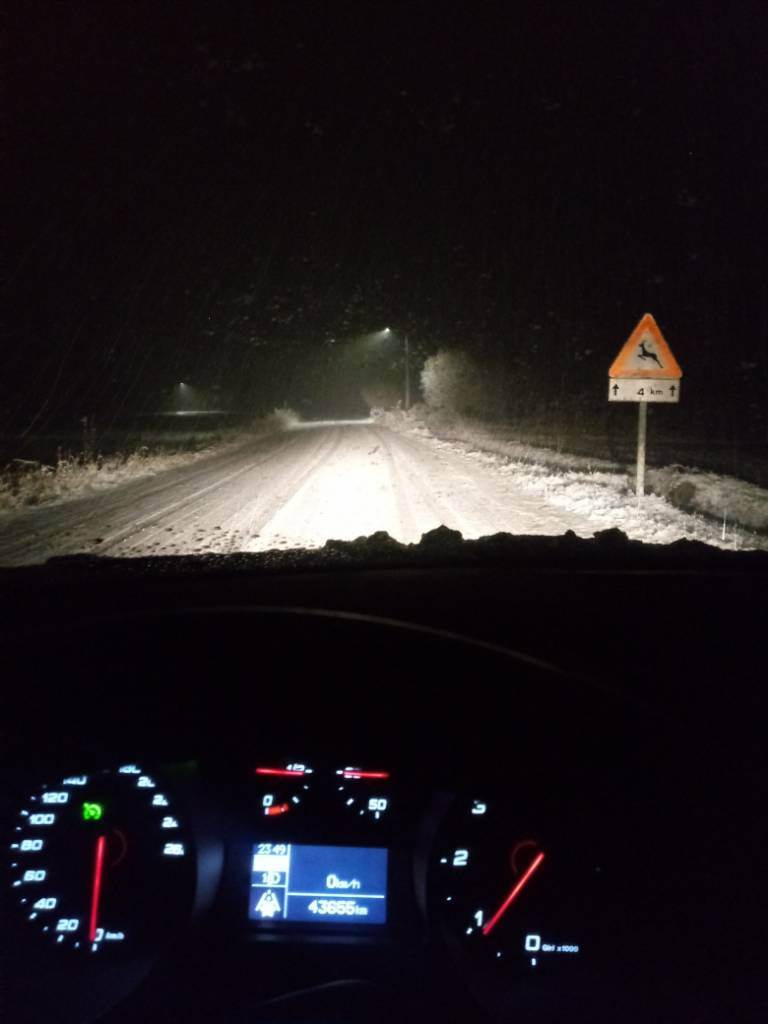 20190123_234748.jpeg