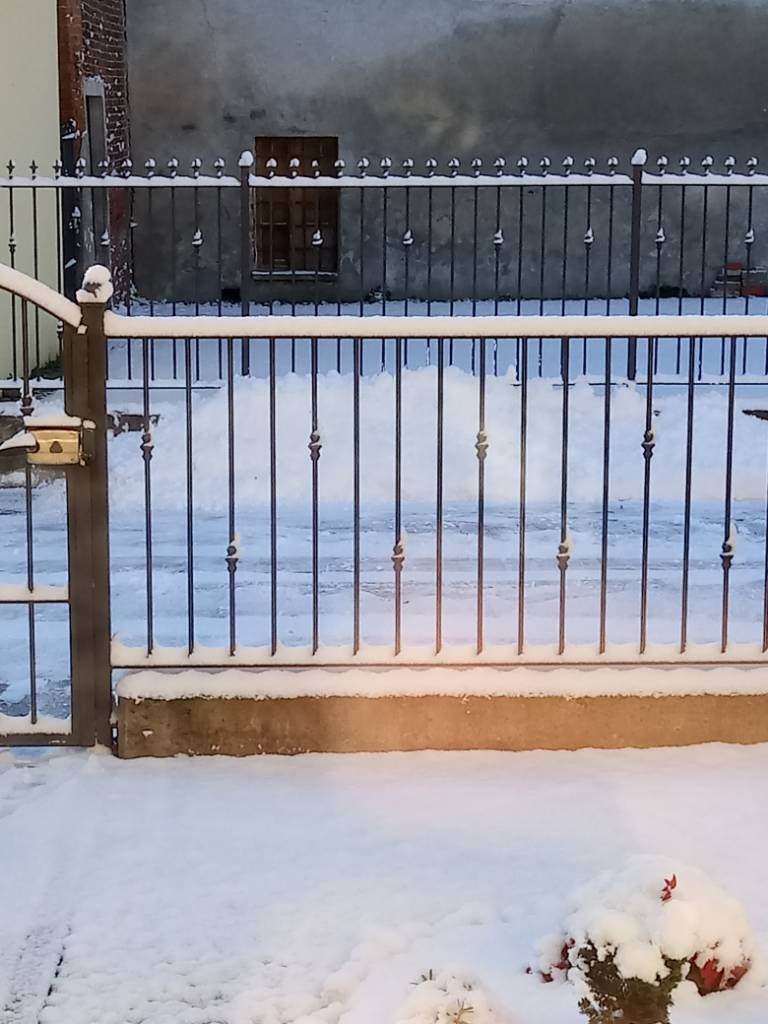 20190124_090950.jpeg