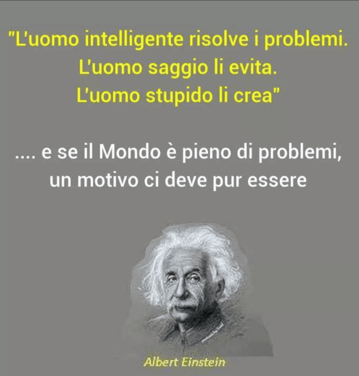 20190203_131345.png