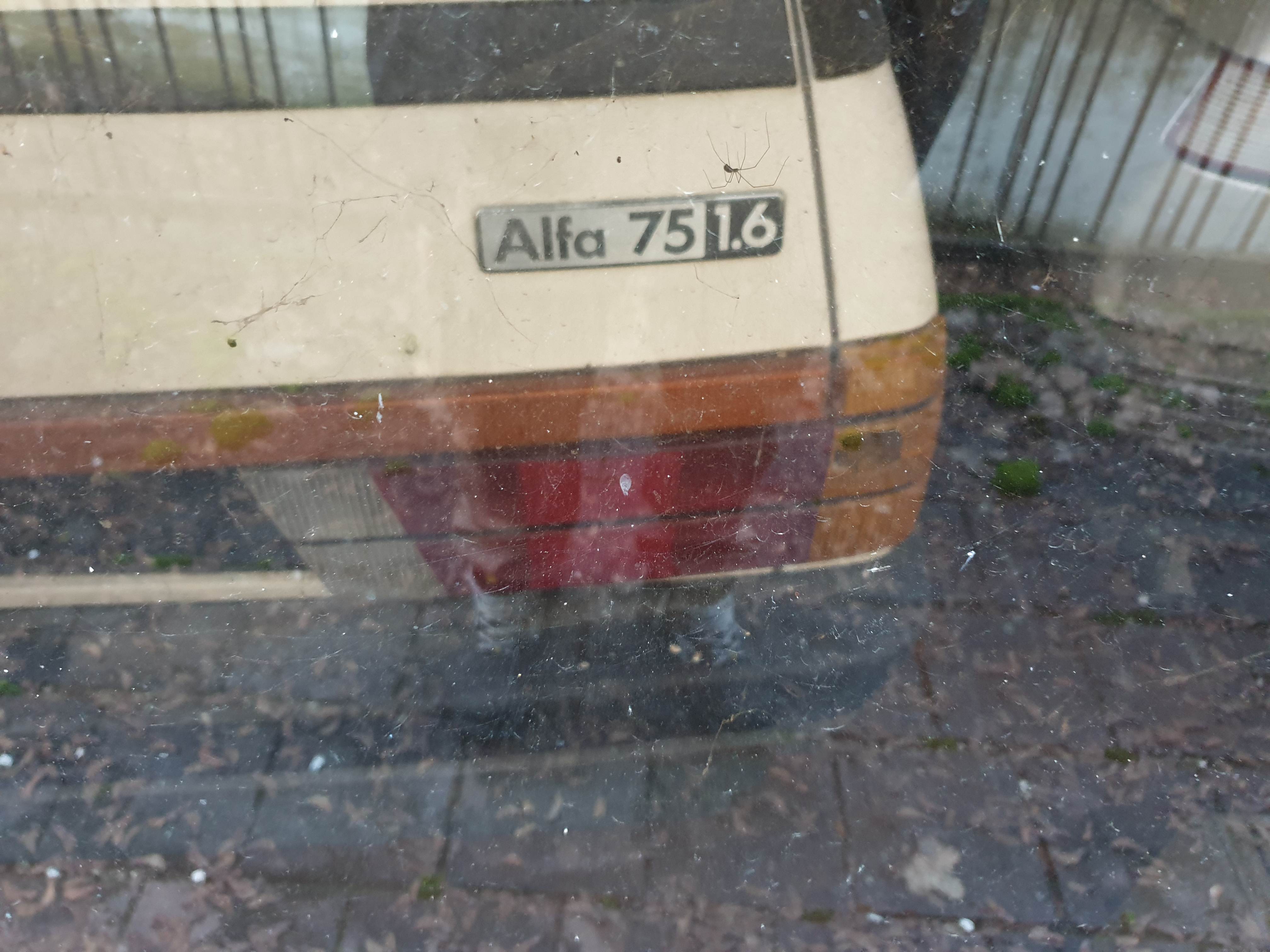 20190204_172035.jpg