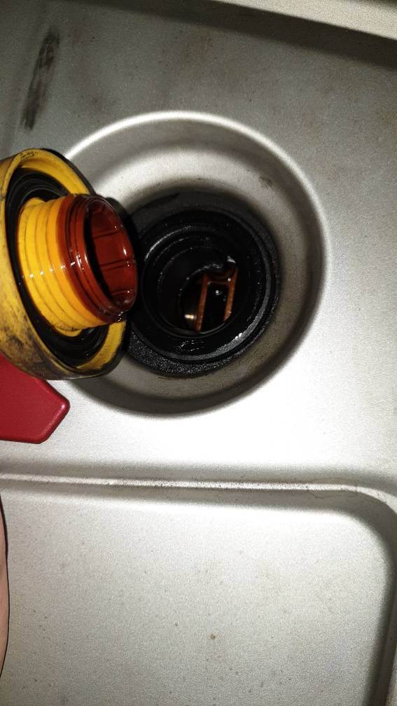 20190306_084444.jpeg