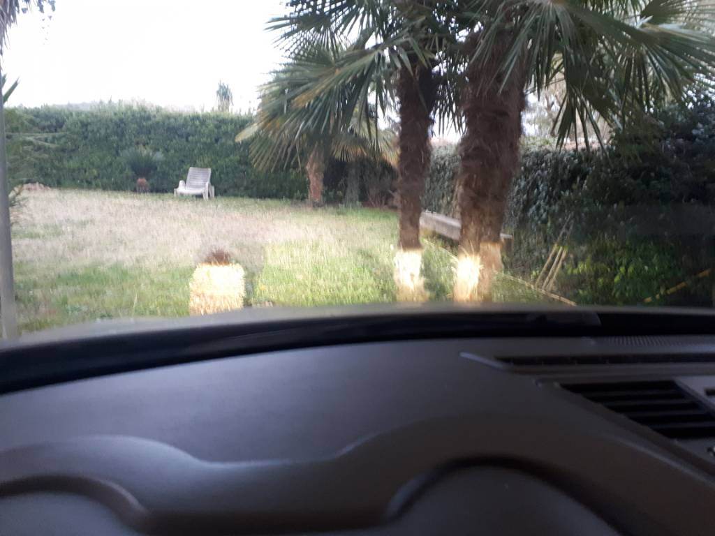20190308_180320.jpeg