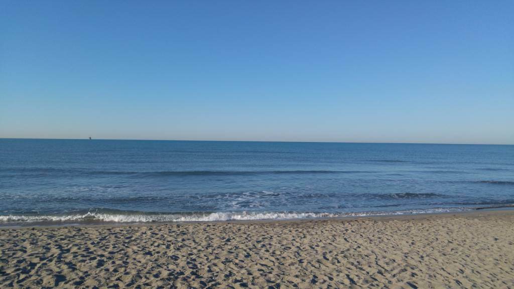 20190322_081407.jpeg