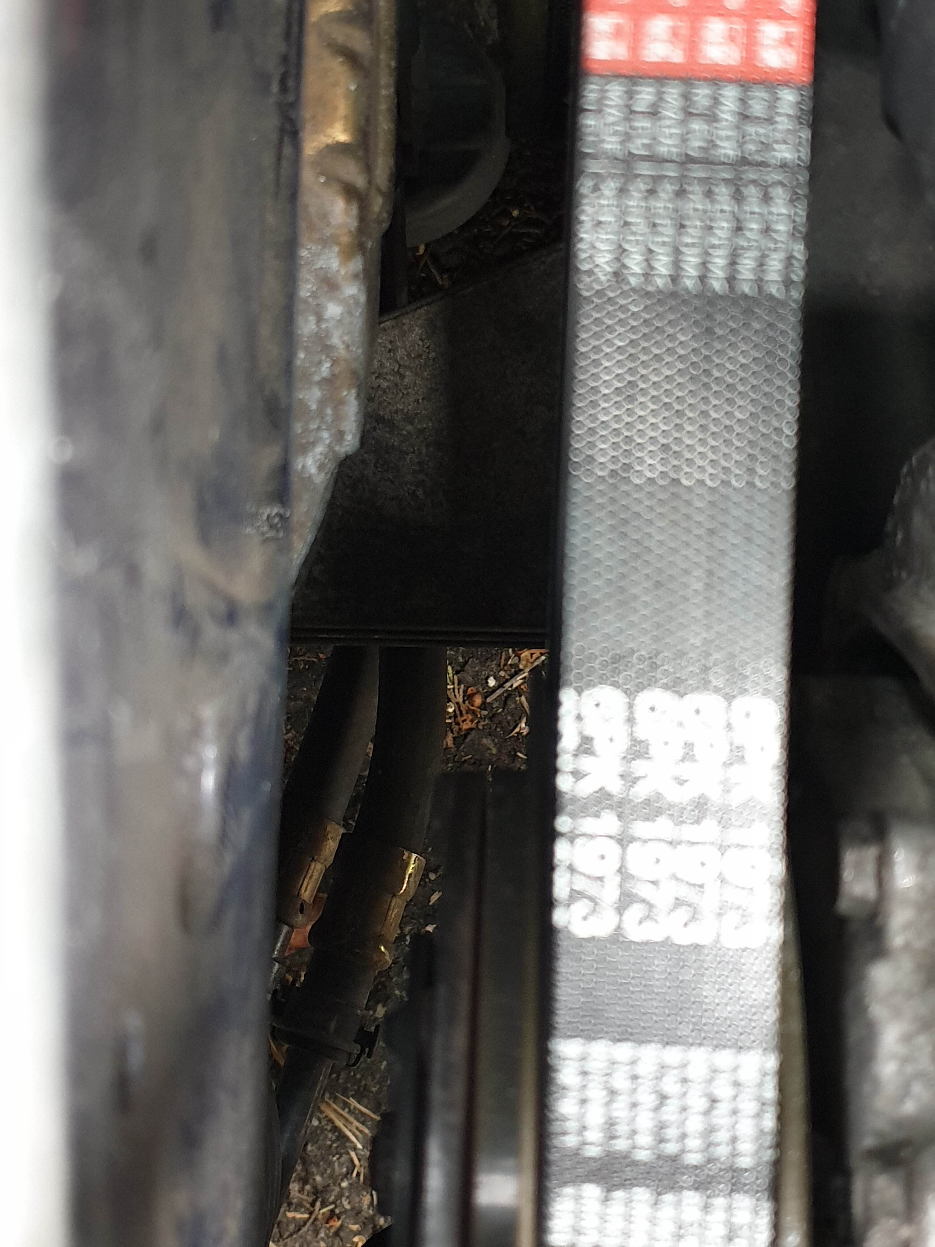 20190402_174523.jpg