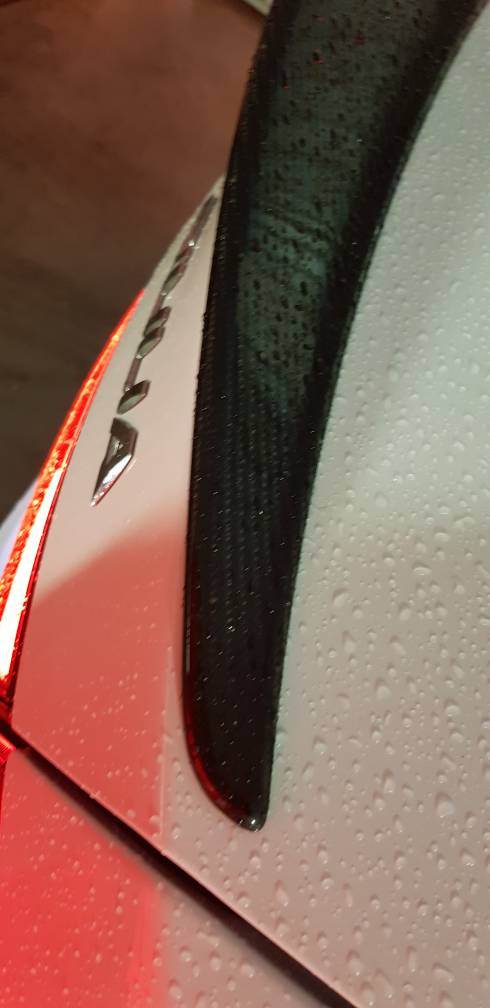 20190407_212736.jpeg