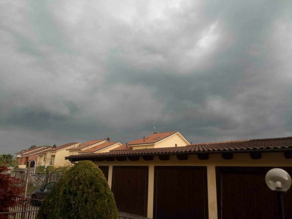 20190410_174457.jpeg