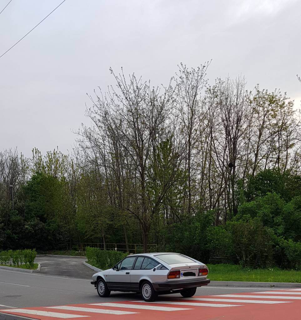 20190413_074810.jpeg
