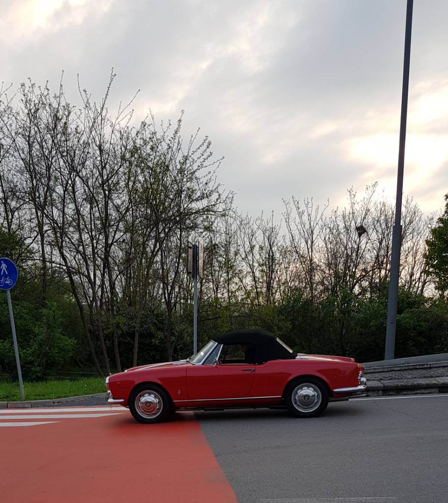 20190413_075331.jpeg