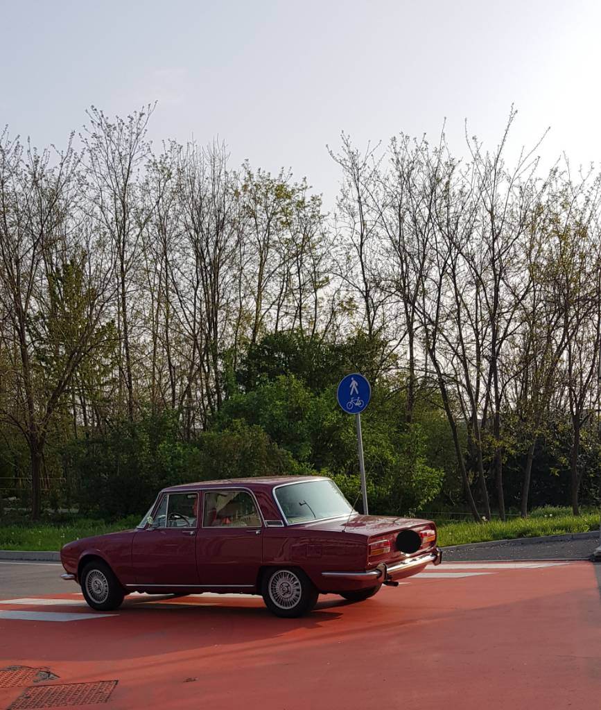 20190413_084128.jpeg