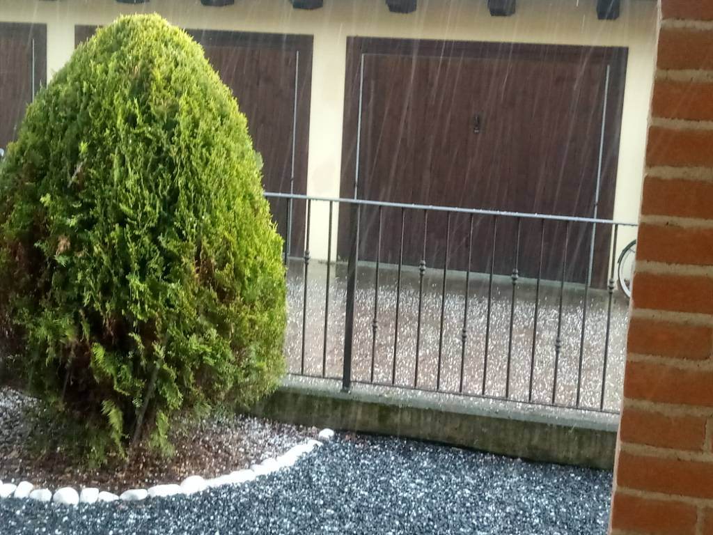 20190426_184644.jpeg