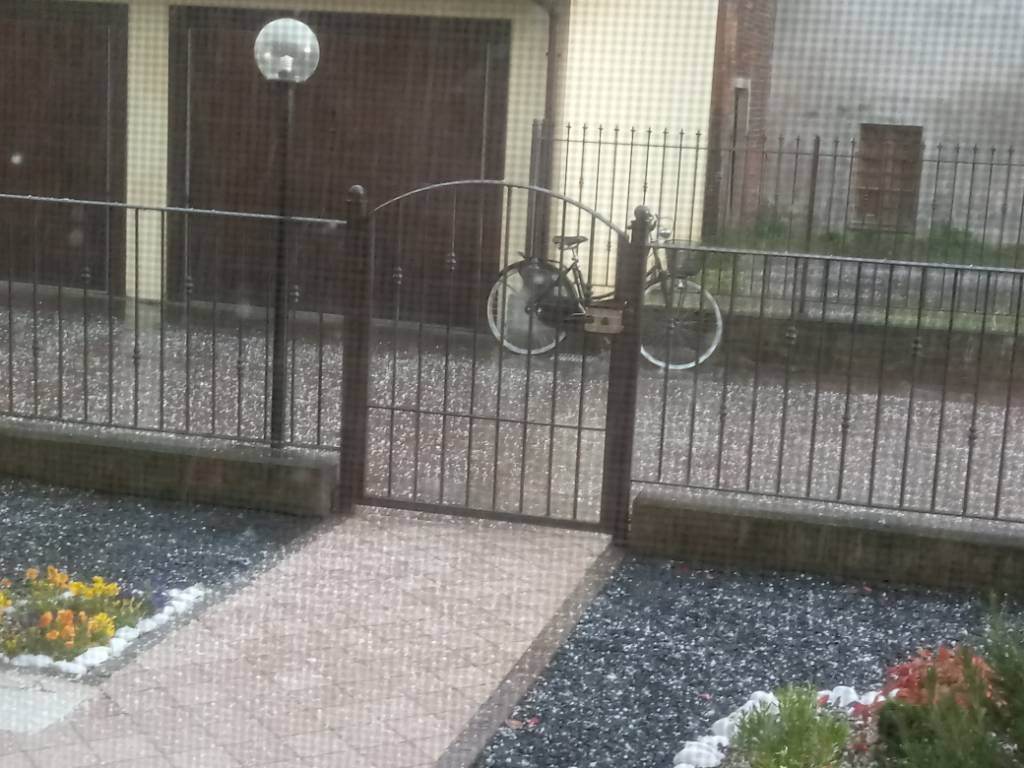 20190426_184707.jpeg