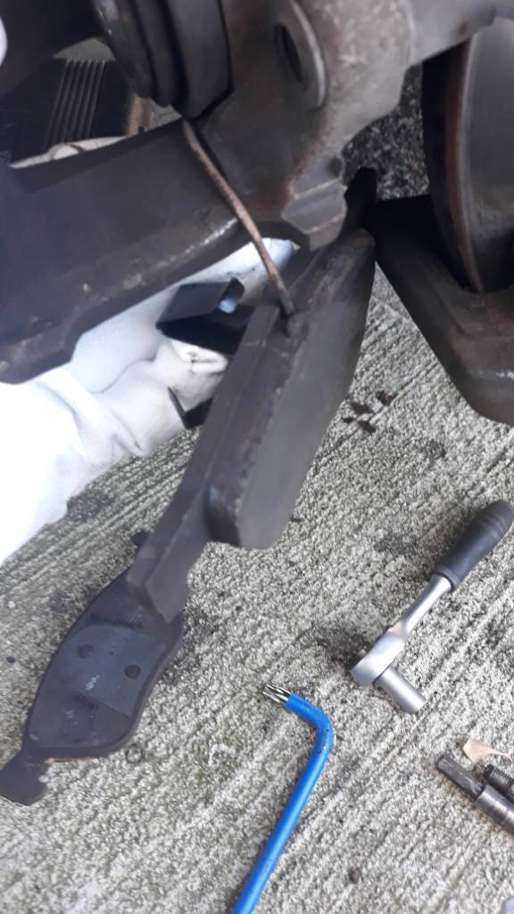 20190501_135020.jpeg