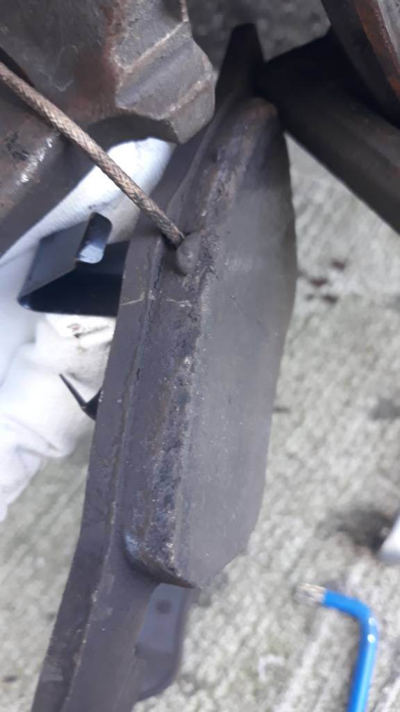 20190501_135025.jpeg