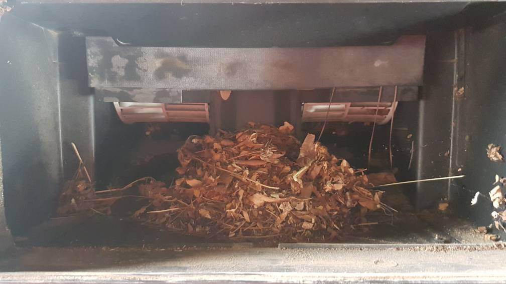 20190527_135752.jpeg 20190527_135752.jpeg