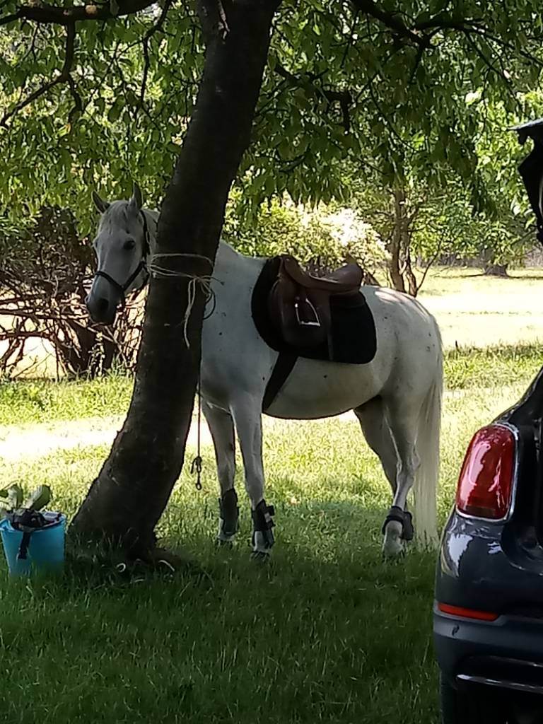20190602_121655.jpeg