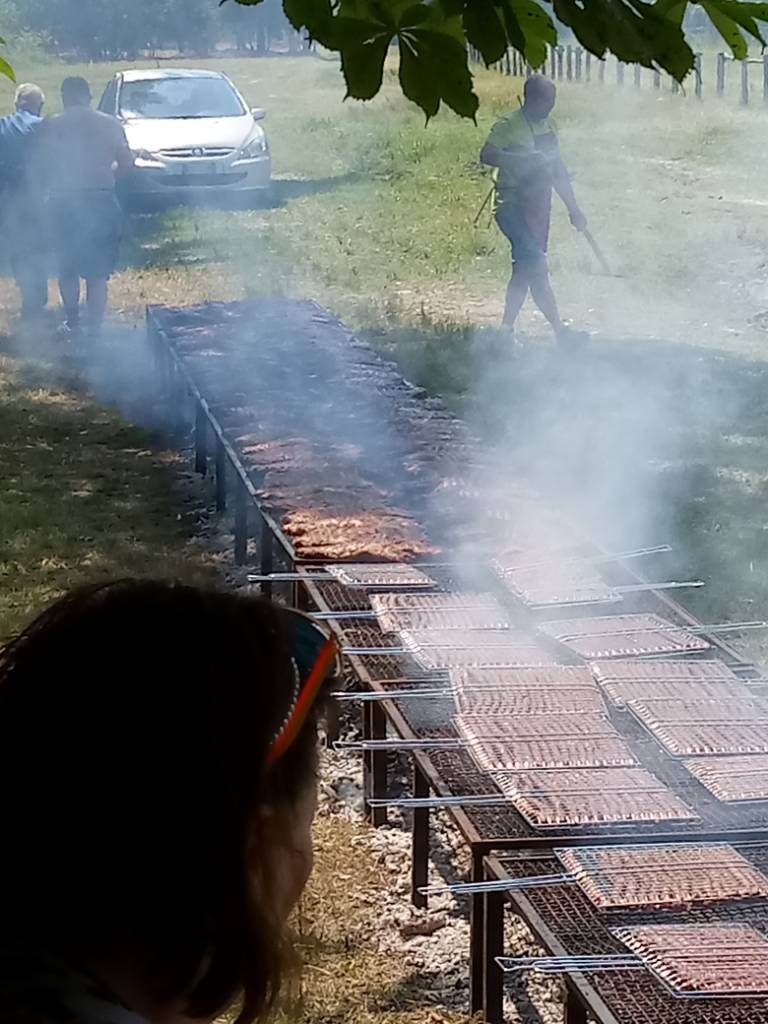 20190602_121912.jpeg