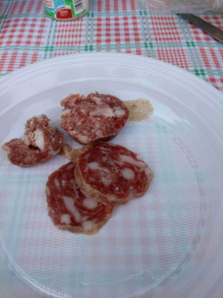 20190602_122755.jpeg