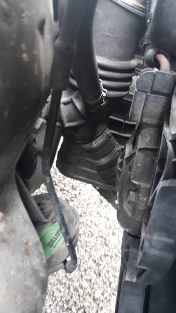 20190605_131902.jpeg