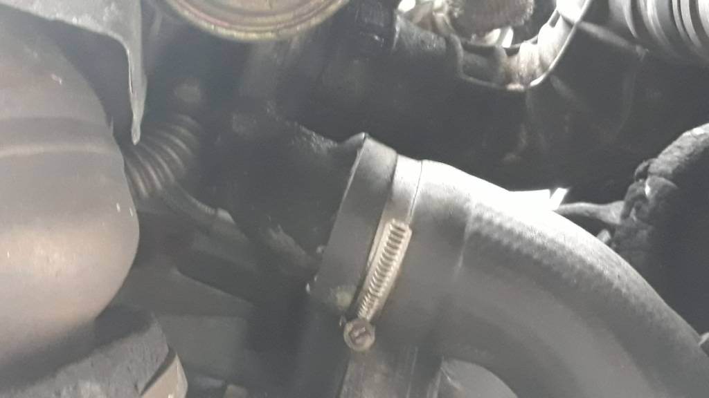 20190605_131928.jpeg
