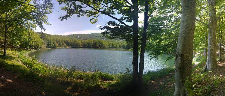 20190608_142704_Pano.jpg