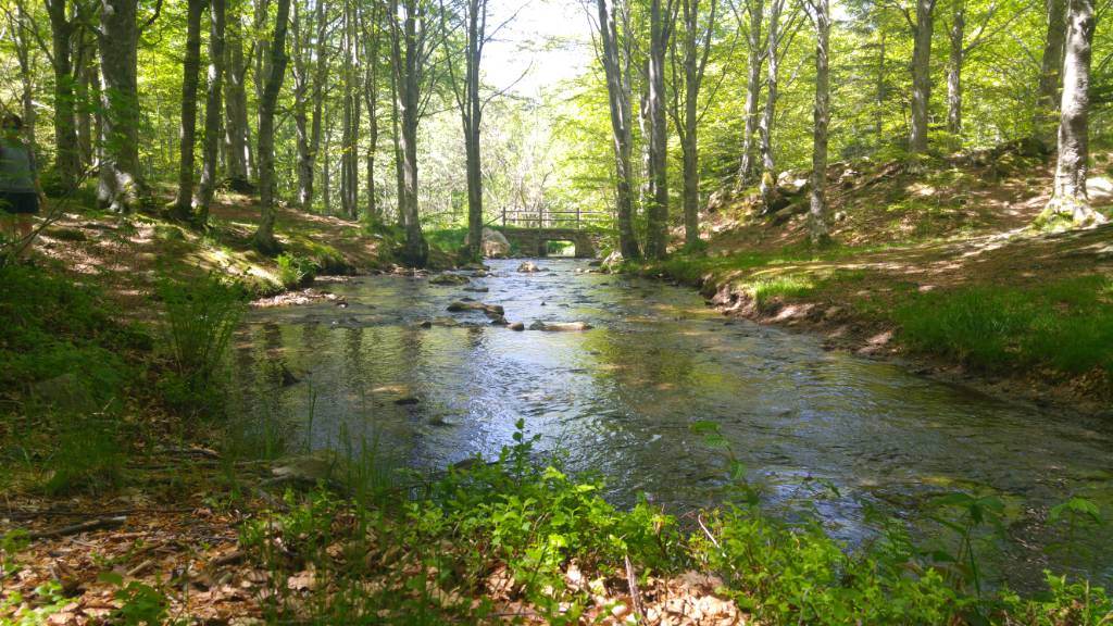 20190608_144948.jpg